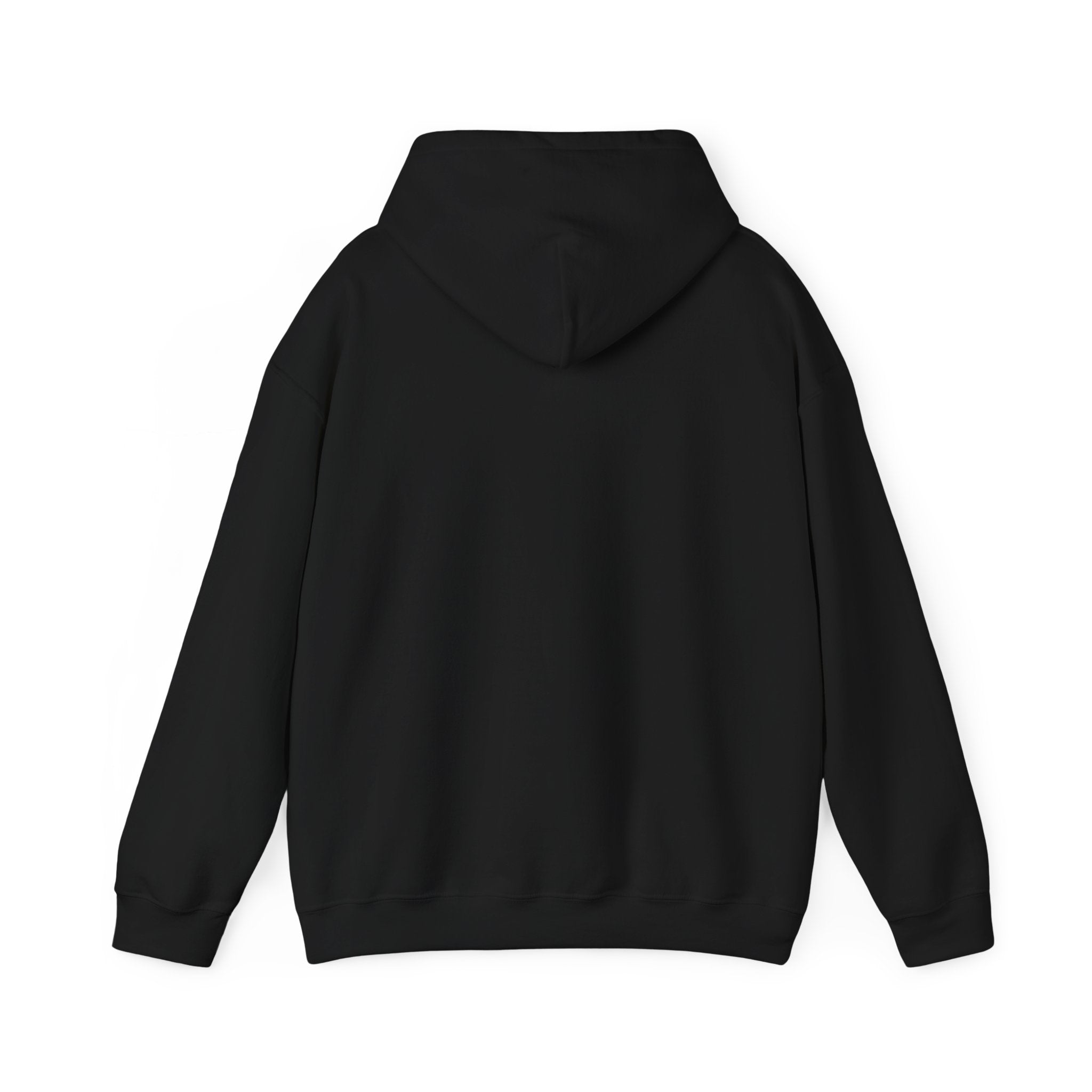 Panda Life Hoodie – Cute Vintage Panda Graphic Hooded Sweatshirt